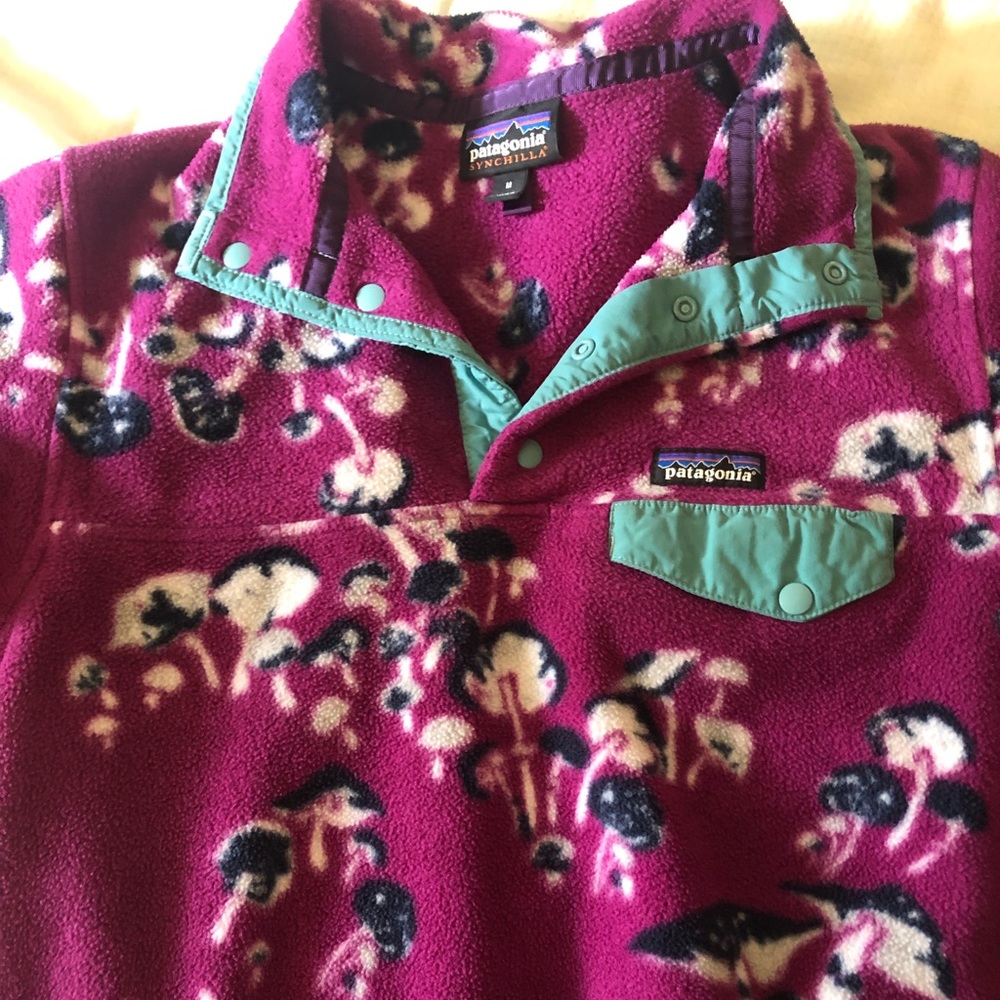 Patagonia Synchilla Mushroom Fleece Snap Pullover